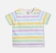 Infant Unisex Pack of 2 Half Sleeve Tees Multicolor