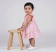 Infant Girls Pink Floral Embroidered Ruffle Dress with Bloomers