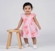Infant Girls Pink Floral Embroidered Ruffle Dress with Bloomers