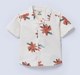Ed-A-Mamma Infant Boys Shirt Tbd