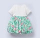 Ed-A-Mamma Infant Girls Dress White/Pink