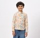 Ed-a-Mamma Kids Boys Shirts Multi