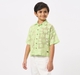 Ed-a-Mamma Kids Boys Shirts Green