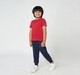 Ed-a-Mamma Boys Solid T-shirt and Joggers set  Multicolor