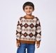Ed-a-Mamma Kids Boys Sweater Rust
