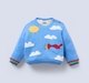 Ed-a-Mamma Infant Boys Sweater Blue