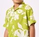 Ed-A-Mamma Kids Boys Co-Ordinate Set Green