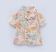 Ed-a-Mamma Baby Boys Sets Multi