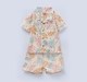 Ed-a-Mamma Baby Boys Sets Multi