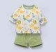Ed-a-Mamma Baby Boys Sets Multi