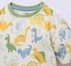 Ed-a-Mamma Baby Boys Sets Multi