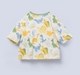 Ed-a-Mamma Baby Boys Sets Multi