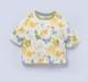 Ed-a-Mamma Baby Boys Sets Multi