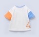 Ed-a-Mamma Baby Boys Sets Multi