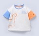Ed-a-Mamma Baby Boys Sets Multi
