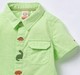 Ed-a-Mamma Baby Boys Shirt Green