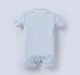 Ed-a-Mamma Baby Boys Rompers Pack of 2 Multi
