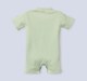 Ed-a-Mamma Baby Boys Rompers Pack of 2 Multi