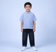 Boys Smart Vertical Striped Short Sleeve Shirt