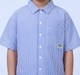 Boys Smart Vertical Striped Short Sleeve Shirt