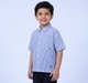 Boys Smart Vertical Striped Short Sleeve Shirt