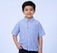 Boys Smart Vertical Striped Short Sleeve Shirt