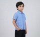 Boys Smart Vertical Stripe Short Sleeve Shirt - Powder Blue