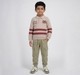 Boys Beige Polo Neck Athletic Stripe Sweatshirt