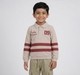 Boys Beige Polo Neck Athletic Stripe Sweatshirt