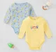 Infant Boys Printed 100% Cotton Bodysuit - Multicolour (Pack of 2)