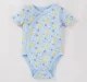 Infant Boys Printed 100% Cotton Bodysuit - Multicolour (Pack of 2)