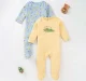 Infant Boys Printed 100% Cotton Sleepsuit Set - Multicolour (Pack of 2)