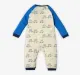 Infant Boys Printed 100% Cotton Romper - Multicolour (Pack of 2)