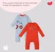 Infant Boys Printed 100% Cotton Romper - Multicolour (Pack of 2)