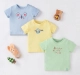 Infant Boys Printed 100% Cotton T-shirts - Multicolour (Pack of 3)