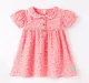 Baby Girls Floral Printed Dress