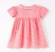 Baby Girls Floral Printed Dress