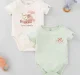 Baby Girls Pack Of 2 Bodysuit