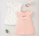 Baby Girls Pack Of 2 Dresses