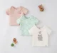 Baby Girls Pack Of 3 Tees