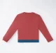 Boys Color Block Sweatshirt