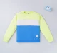 Boys Color Block Sweatshirt