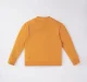 Boys Printed Sweatshirt