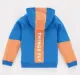 Colour block Hoodie With Chest Print
