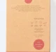 Pack Of 3 Boys Briefs