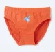 Pack Of 3 Boys Briefs