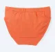 Pack Of 3 Boys Briefs