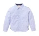 All Over Print Shirt