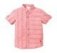 Half Sleeves Ikkat Shirt