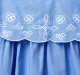 Gathered Embroidered Dress